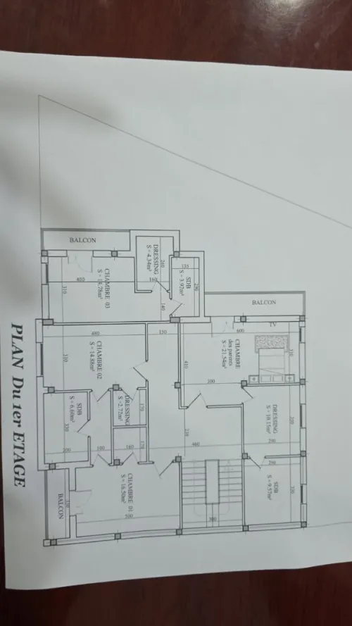Vente Terrain Mostaganem Sayada