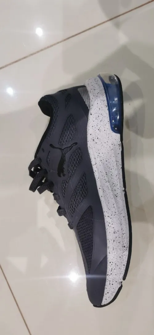 Puma basket
