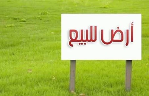 Vente Terrain Boumerdès El kharrouba