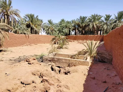 Vente Terrain Timimoun Timimoun