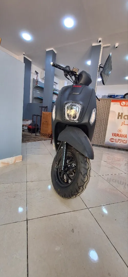 Sym Qq7 2026