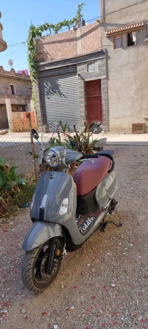 Sym Fidel 4 2025