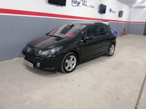 Peugeot 307 2007 Féline