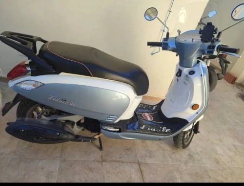 فيدال3 SUM 2023