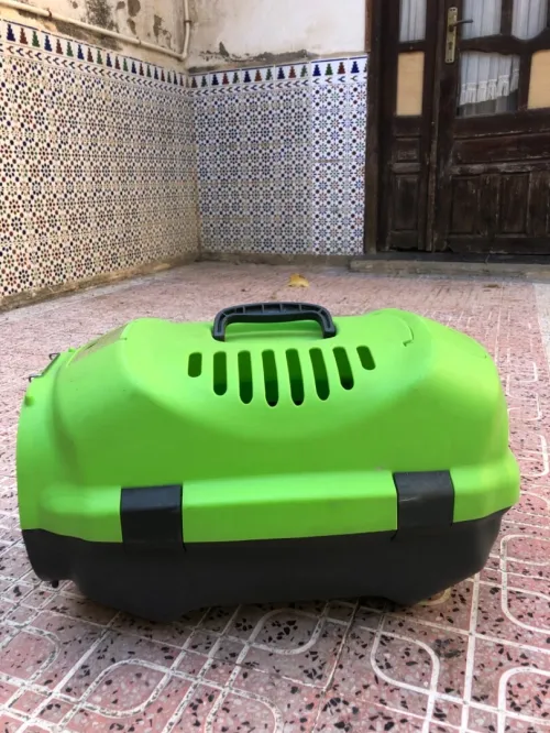 Petit maison pour chat