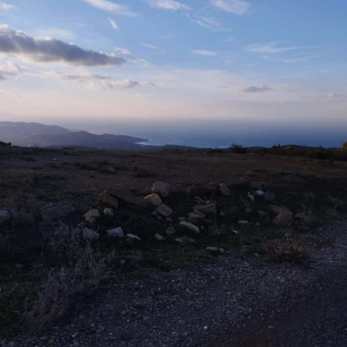 Vente Terrain Tipaza Cherchell