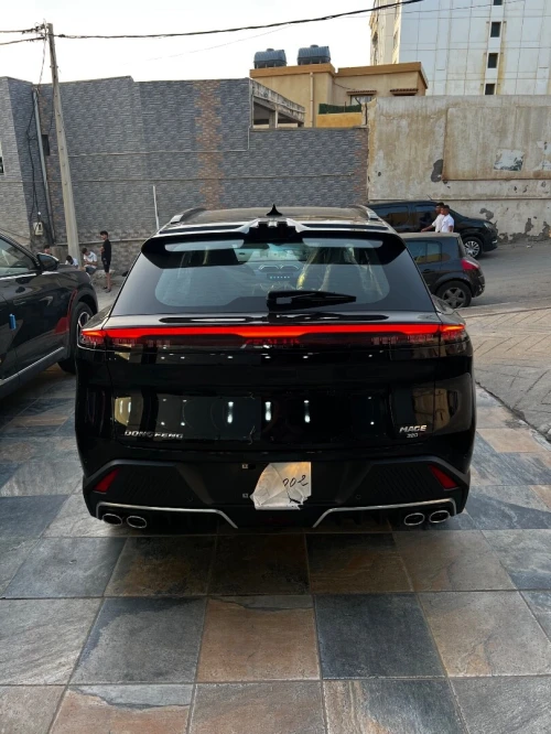 Dongfeng  Mega 2026 320T