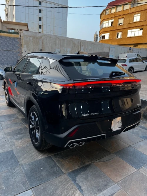 Dongfeng  Mega 2026 320T