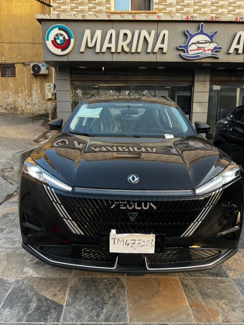 Dongfeng  Mega 2026 320T