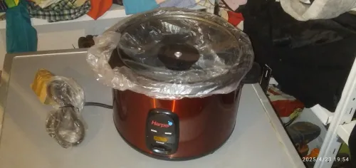 Quichotte électrique 