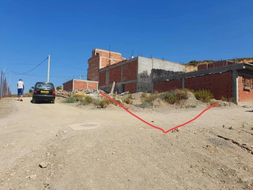Vente Terrain Blida Bouarfa