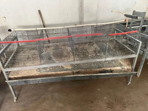 Cages lapins