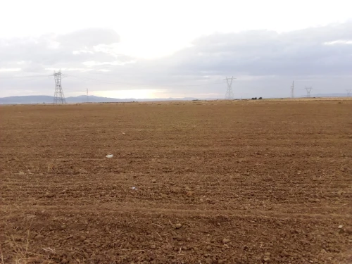 Vente Terrain Agricole Khenchela Remila