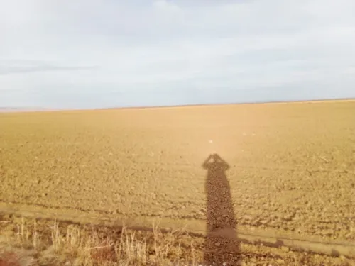 Vente Terrain Agricole Khenchela Remila