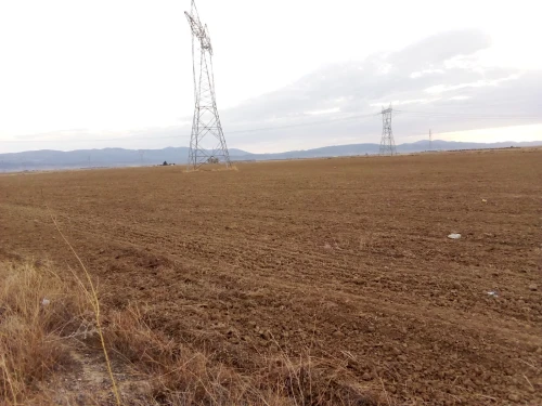 Vente Terrain Agricole Khenchela Remila