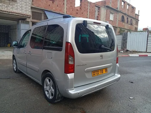 Peugeot Partner 2010 Tepee