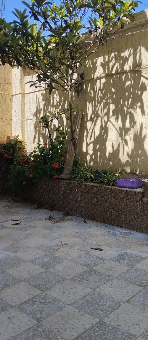 Location vacances Appartement Niveau de villa F3 Tipaza Bou ismail