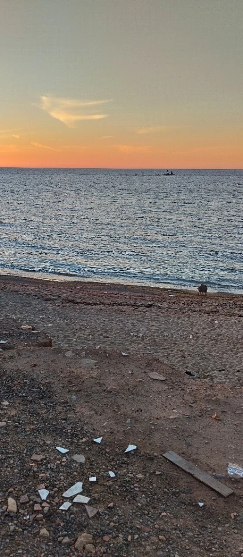 Location Appartement F3 Tipaza Bou ismail