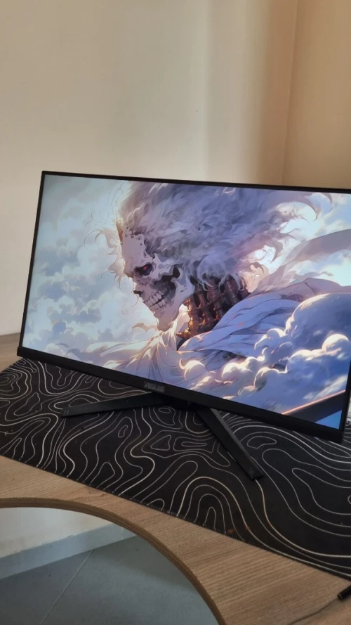 Écran Asus tuf (300hz)