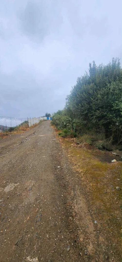 Vente Terrain Tizi Ouzou Boghni