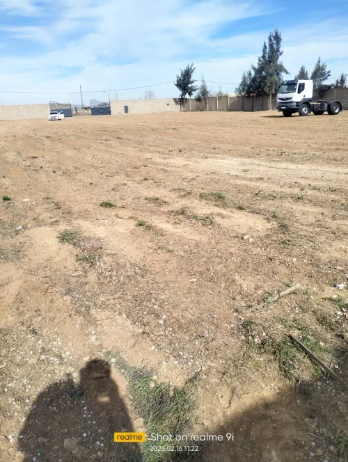Vente Terrain Sétif Setif