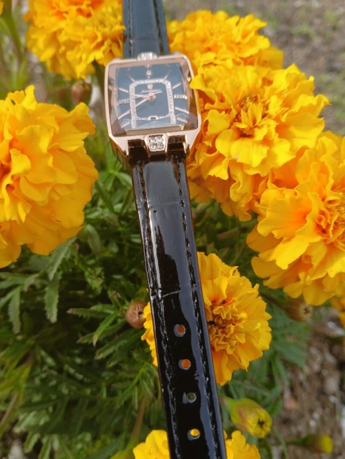 Montre Poedagar originale