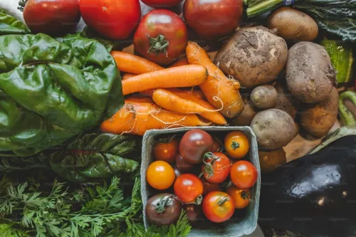 Fournisseur de produits alimentaires frais