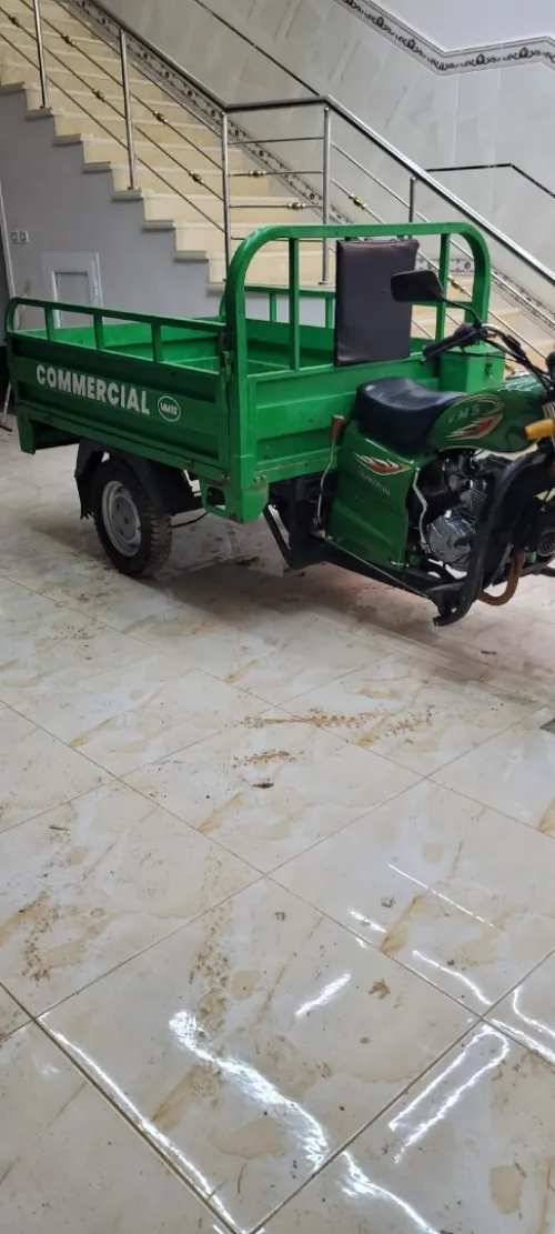 Vms Tricycle 2024