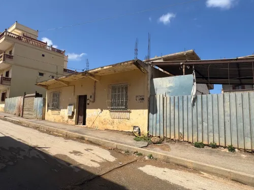 Vente Hangar Chlef Tenes