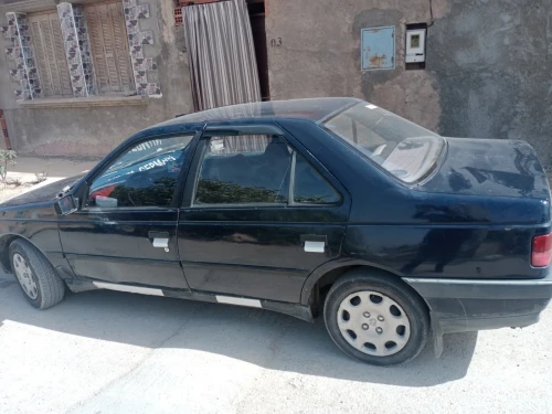Peugeot 405 1990 405