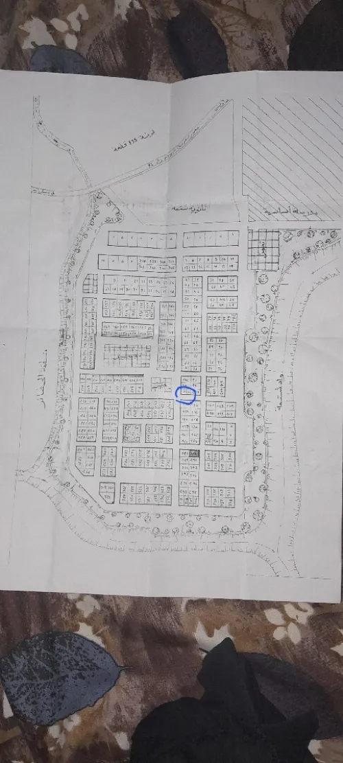 Vente Terrain Biskra Chetma