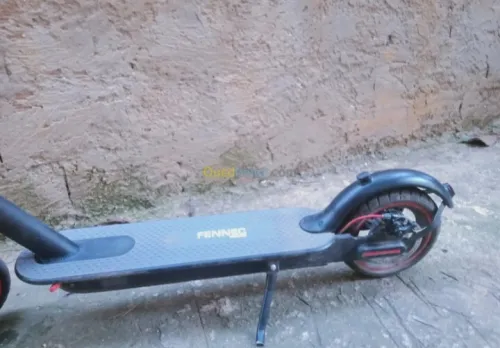 Fennec holding Pro2 