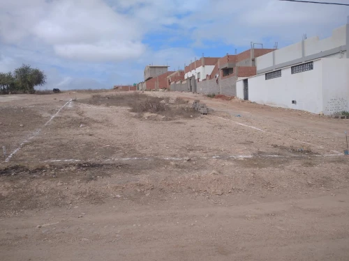 Vente Terrain Agricole Tlemcen Msirda fouaga