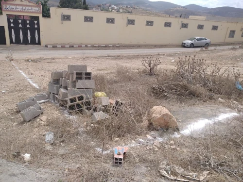 Vente Terrain Agricole Tlemcen Msirda fouaga