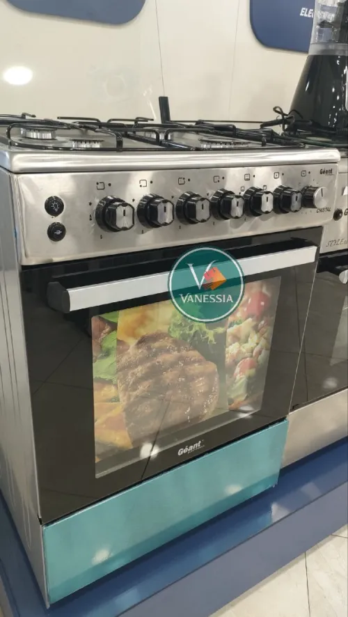 Cuisinière Marque Géant Cristal Ventiller En  Inox