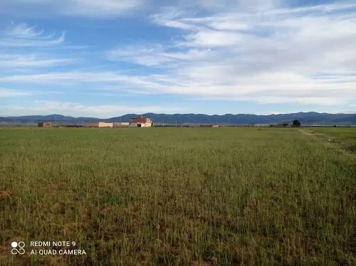 Vente Terrain Agricole Batna Lazrou