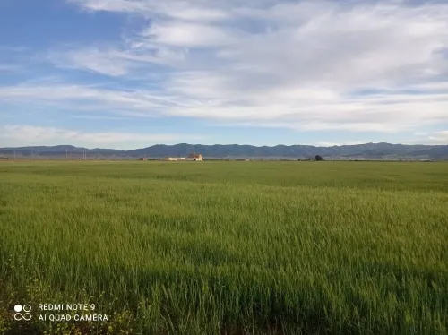 Vente Terrain Agricole Batna Lazrou