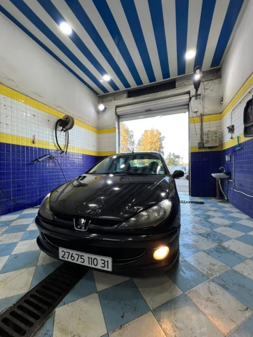 Peugeot 206 Sedan 2010 206 Sedan