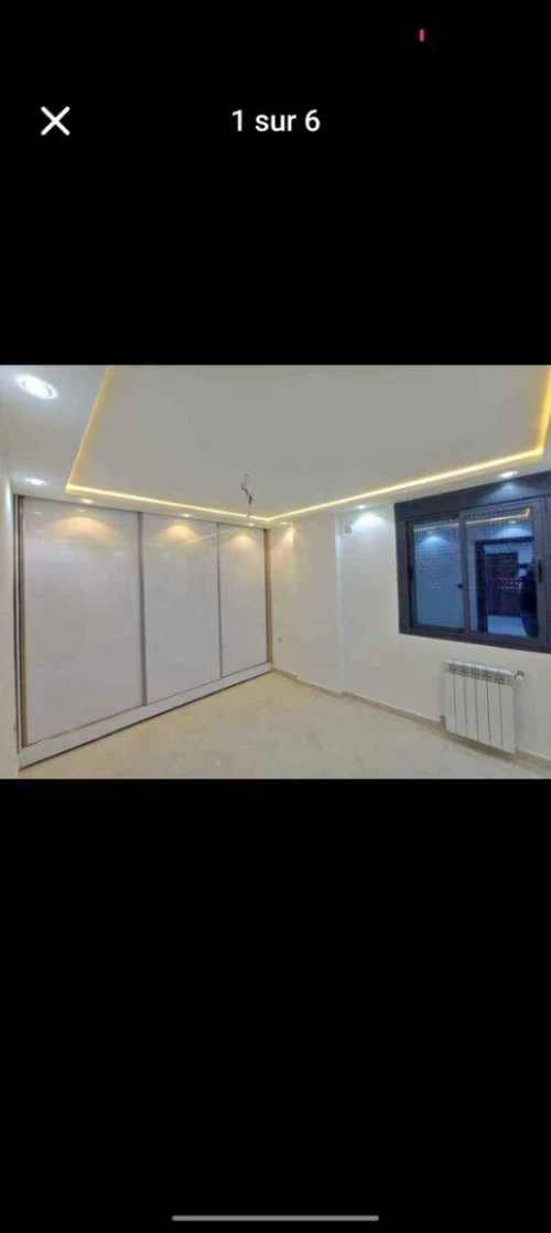 Peintre professionnel 