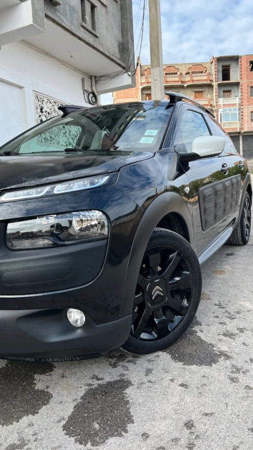 Citroen C4 Cactus 2016 C4 Cactus
