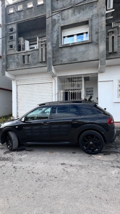 Citroen C4 Cactus 2016 C4 Cactus