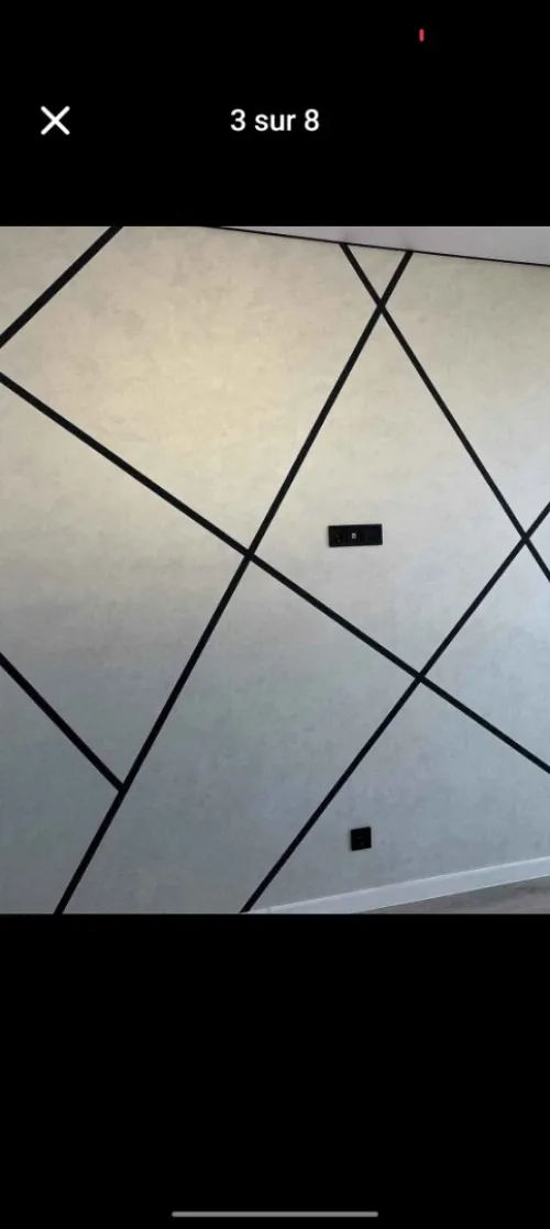 Peintre professionnel 