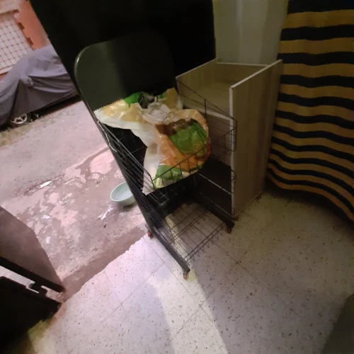 Materiel fast food