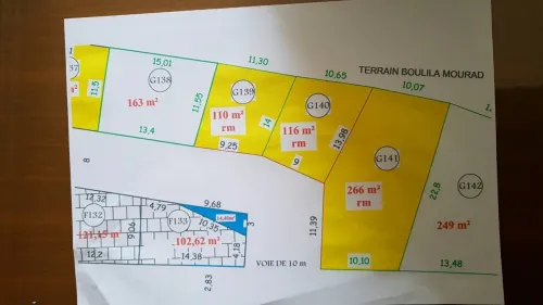 Vente Terrain Tlemcen Nedroma