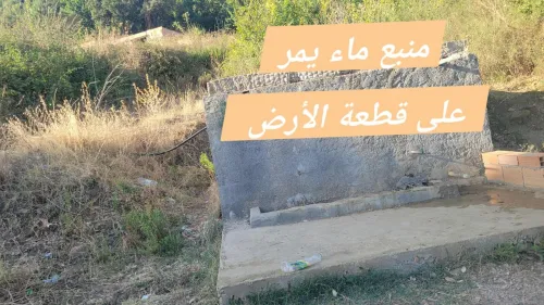 Vente Terrain Tizi Ouzou Yakouren