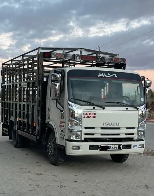 IZUZU SUPER JUMBO 2024