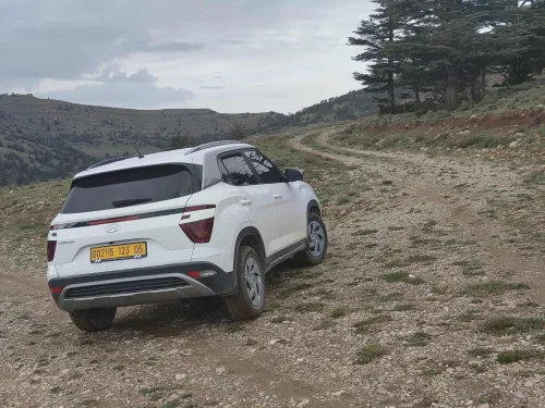 Hyundai Creta 2023 Simple