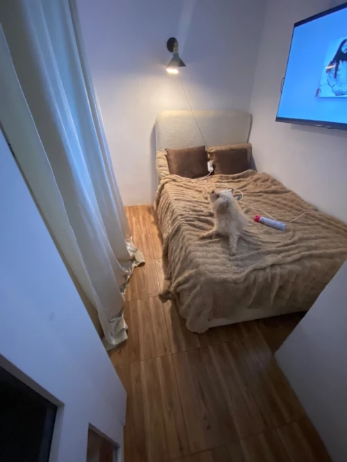 Vente Appartement F2 Alger Bouzareah
