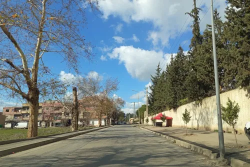 Vente Terrain Alger Tessala el merdja