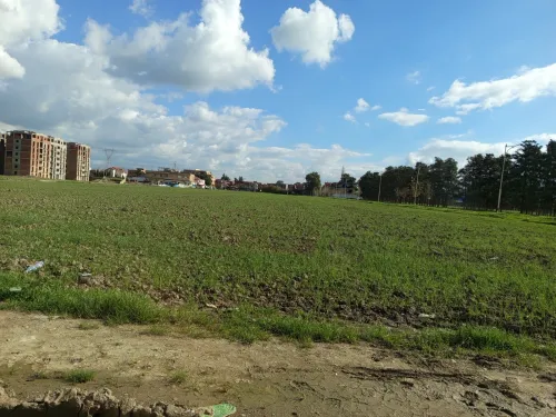 Vente Terrain Alger Tessala el merdja